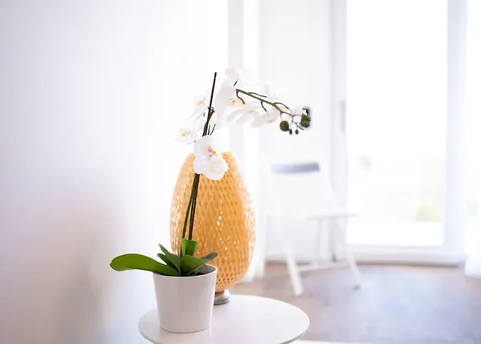 Premium Design With Balcony & Free Parking Βιέννη